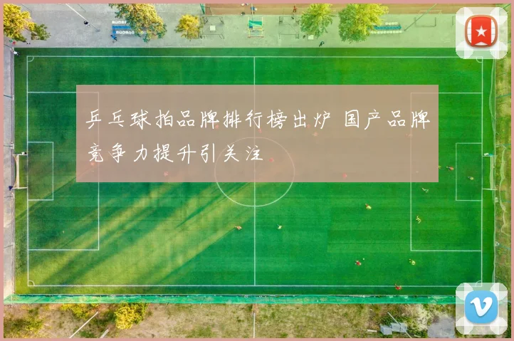 乒乓球拍品牌排行榜出炉 国产品牌竞争力提升引关注