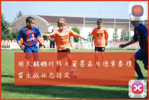明天鹈鹕对阵火箭墨菲与德章泰穆雷出战状态待定